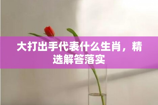 大打出手代表什么生肖，精选解答落实