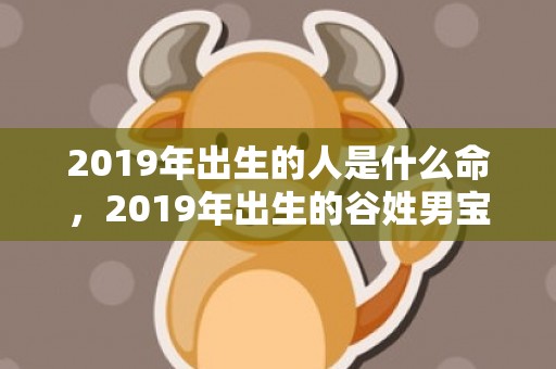 2019年出生的人是什么命，2019年出生的谷姓男宝宝该如何起名字，宜用什么字。