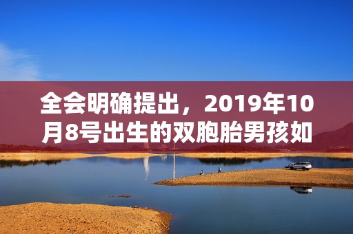 全会明确提出，2019年10月8号出生的双胞胎男孩如何起名，五行属什么