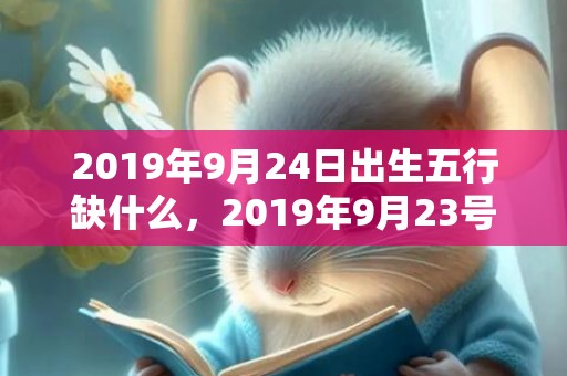 2019年9月24日出生五行缺什么，2019年9月23号出生的双胞胎男孩怎么起名，五行属什么