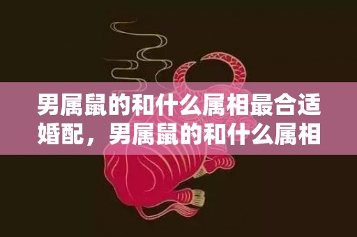 男属鼠的和什么属相最合适婚配，男属鼠的和什么属相最配