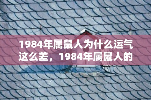 1984年属鼠人为什么运气这么差，1984年属鼠人的运程