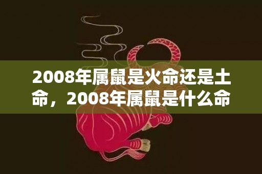 2008年属鼠是火命还是土命，2008年属鼠是什么命