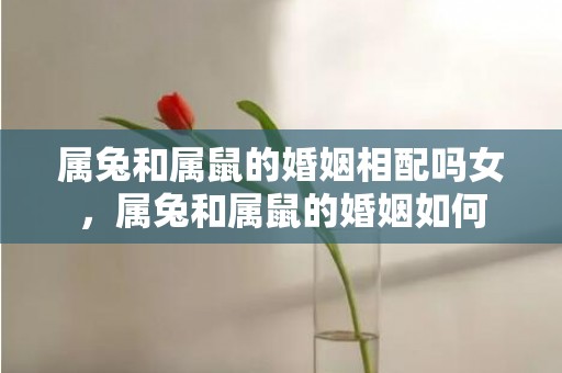 属兔和属鼠的婚姻相配吗女，属兔和属鼠的婚姻如何