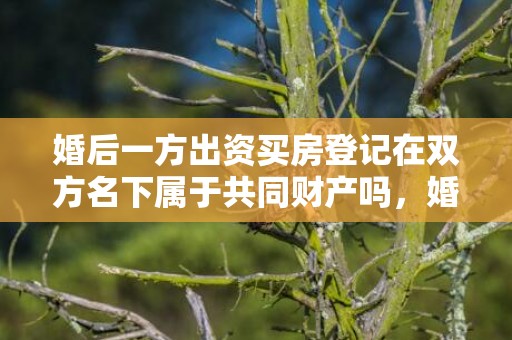 婚后一方出资买房登记在双方名下属于共同财产吗，婚后一方出资买房属于共同财产吗离婚怎么办