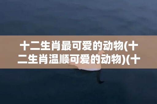 十二生肖最可爱的动物(十二生肖温顺可爱的动物)(十二生肖最可爱的人)