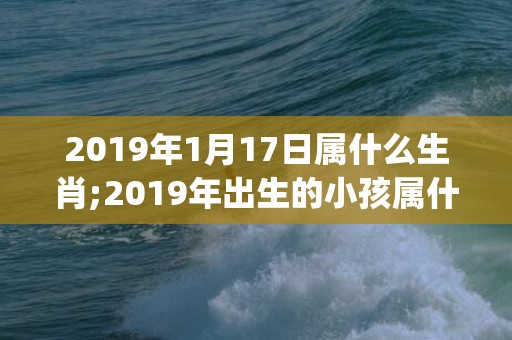 2019年1月17日属什么生肖;2019年出生的小孩属什么生肖(明确跨)