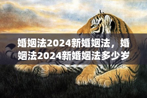 婚姻法2024新婚姻法，婚姻法2024新婚姻法多少岁可以结婚(新的婚姻法关于离婚财产分割)