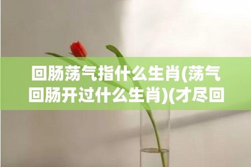 回肠荡气指什么生肖(荡气回肠开过什么生肖)(才尽回肠荡气中什么意思)