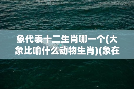 象代表十二生肖哪一个(大象比喻什么动物生肖)(象在十二生肖中代表谁)