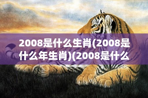 2008是什么生肖(2008是什么年生肖)(2008是什么生肖年呀)