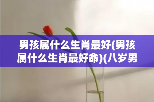 男孩属什么生肖最好(男孩属什么生肖最好命)(八岁男孩属什么生肖)