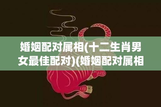 婚姻配对属相(十二生肖男女最佳配对)(婚姻配对属相表)