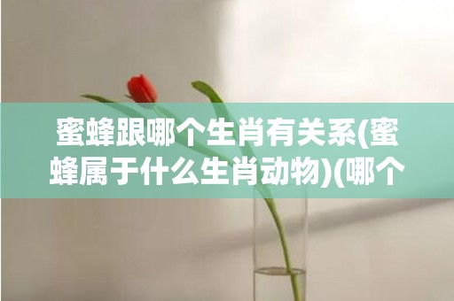 蜜蜂跟哪个生肖有关系(蜜蜂属于什么生肖动物)(哪个生肖怕蜜蜂)