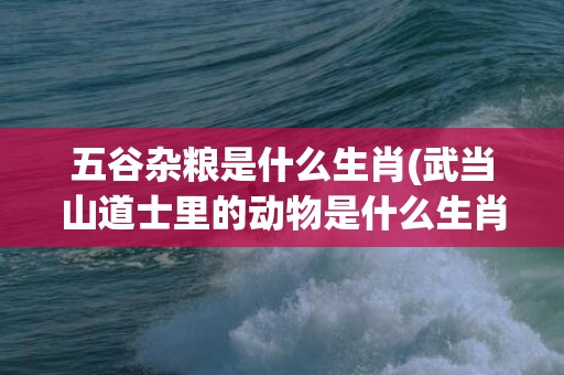 五谷杂粮是什么生肖(武当山道士里的动物是什么生肖)(五谷杂粮水是什么东西)