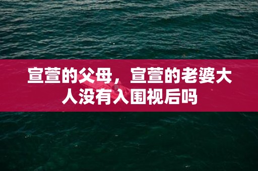 宣萱的父母，宣萱的老婆大人没有入围视后吗