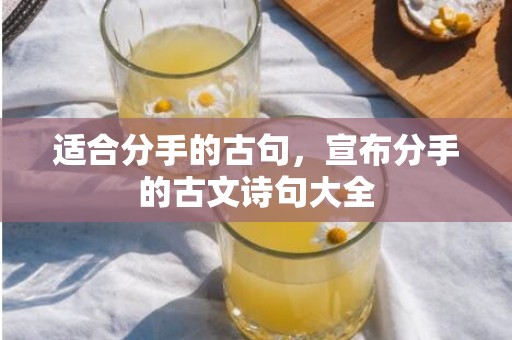 适合分手的古句，宣布分手的古文诗句大全