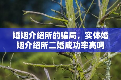 婚姻介绍所的骗局，实体婚姻介绍所二婚成功率高吗