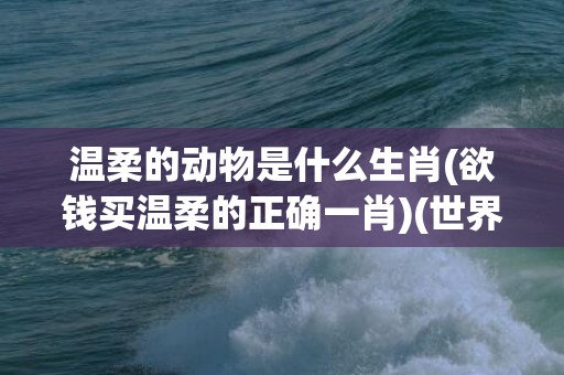 温柔的动物是什么生肖(欲钱买温柔的正确一肖)(世界上最温柔的动物是什么)