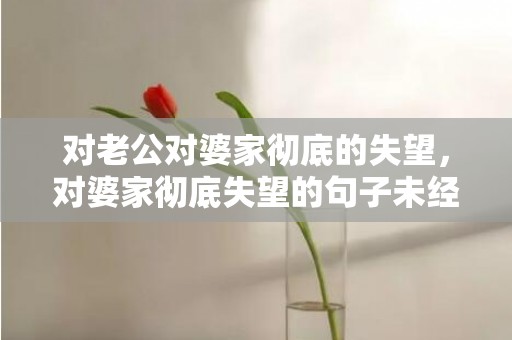 对老公对婆家彻底的失望，对婆家彻底失望的句子未经他人苦