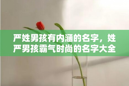 严姓男孩有内涵的名字，姓严男孩霸气时尚的名字大全