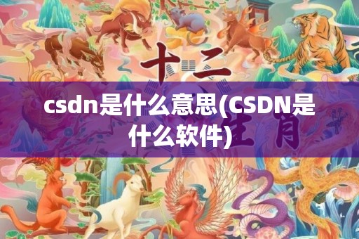 csdn是什么意思(CSDN是什么软件)