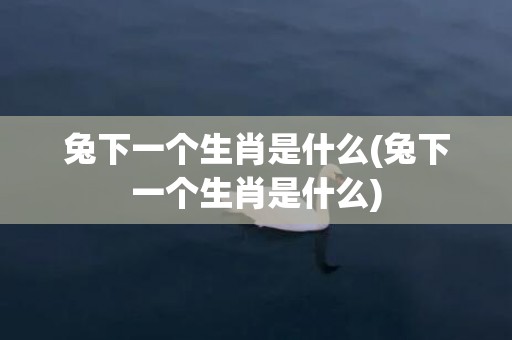 兔下一个生肖是什么(兔下一个生肖是什么)