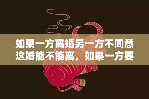 如果一方离婚另一方不同意这婚能不能离，如果一方要离婚另一方不离怎么办