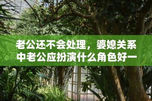 老公还不会处理，婆媳关系中老公应扮演什么角色好一点