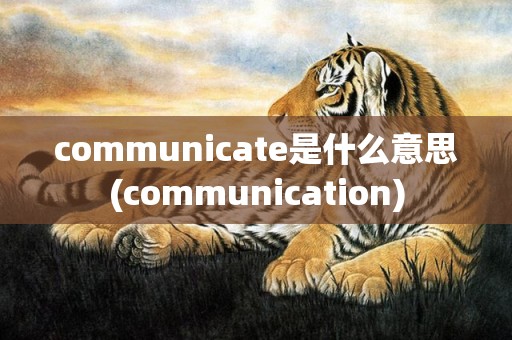 communicate是什么意思(communication)