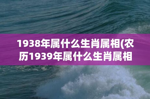 1938年属什么生肖属相(农历1939年属什么生肖属相)(1938年属什么虎)