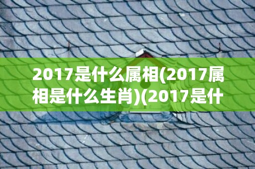 2017是什么属相(2017属相是什么生肖)(2017是什么属什么)