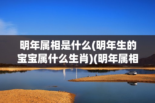 明年属相是什么(明年生的宝宝属什么生肖)(明年属相是什么生肖)