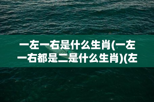 一左一右是什么生肖(一左一右都是二是什么生肖)(左一右是什么生肖)