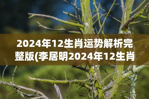 2024年12生肖运势解析完整版(李居明2024年12生肖运势解析)(2024年12生肖运势及运程)