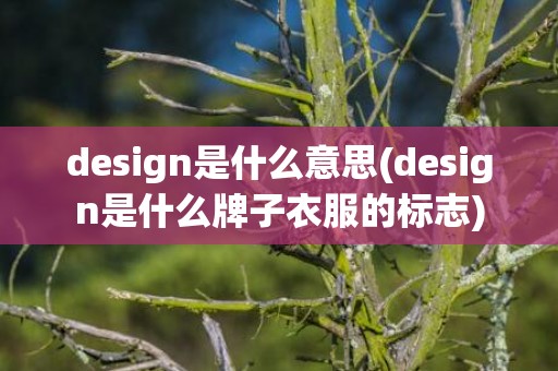 design是什么意思(design是什么牌子衣服的标志)