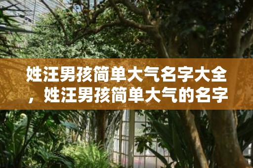 姓汪男孩简单大气名字大全，姓汪男孩简单大气的名字有哪些