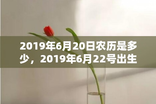 2019年6月20日农历是多少，2019年6月22号出生的男宝宝五行缺火要怎么起名字