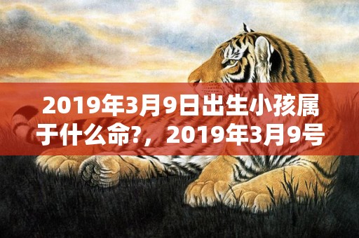 2019年3月9日出生小孩属于什么命?，2019年3月9号出生的男宝宝五行缺土要怎么样起名字