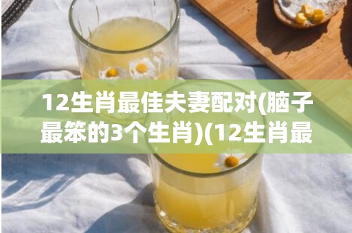 12生肖最佳夫妻配对(脑子最笨的3个生肖)(12生肖最佳夫妻配对和年龄表)