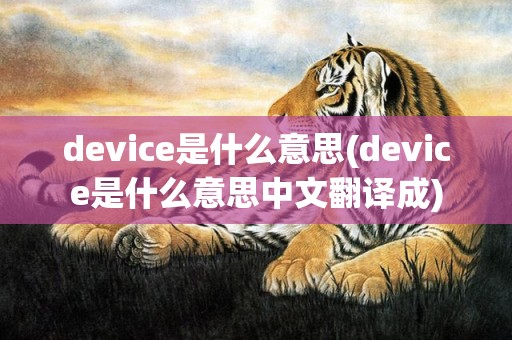 device是什么意思(device是什么意思中文翻译成)