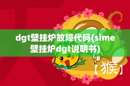 dgt壁挂炉故障代码(sime壁挂炉dgt说明书)