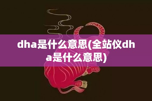 dha是什么意思(全站仪dha是什么意思)