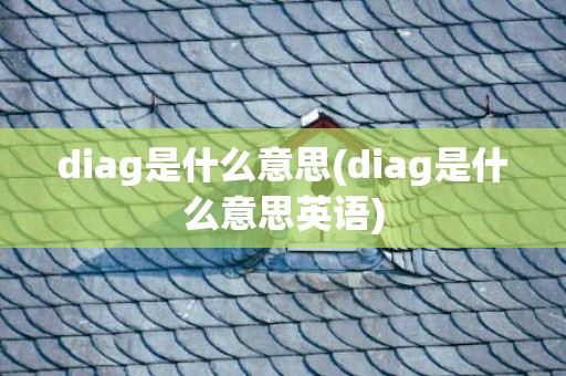 diag是什么意思(diag是什么意思英语)