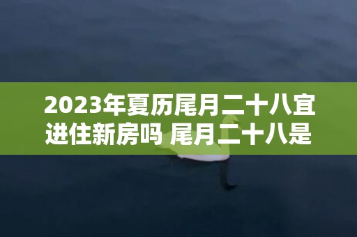 2023年夏历尾月二十八宜进住新房吗 尾月二十八是不是乔迁新房的黄道谷旦