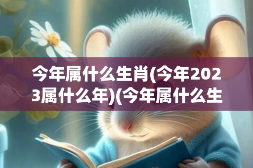 今年属什么生肖(今年2023属什么年)(今年属什么生肖2023)