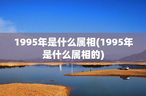 1995年是什么属相(1995年是什么属相的)