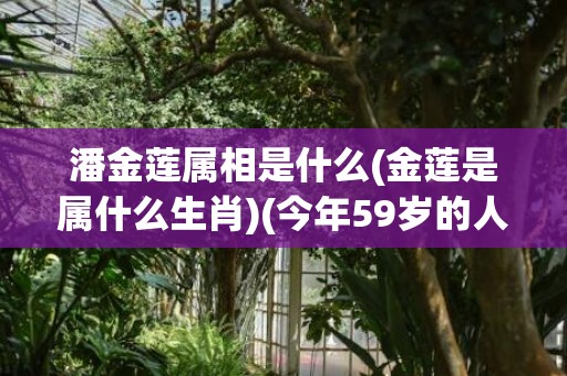 潘金莲属相是什么(金莲是属什么生肖)(今年59岁的人属相是什么)