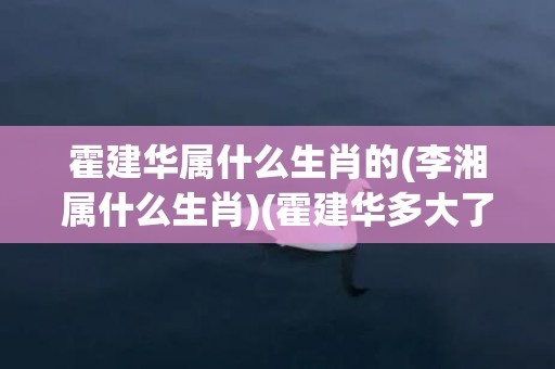 霍建华属什么生肖的(李湘属什么生肖)(霍建华多大了年龄属什么)