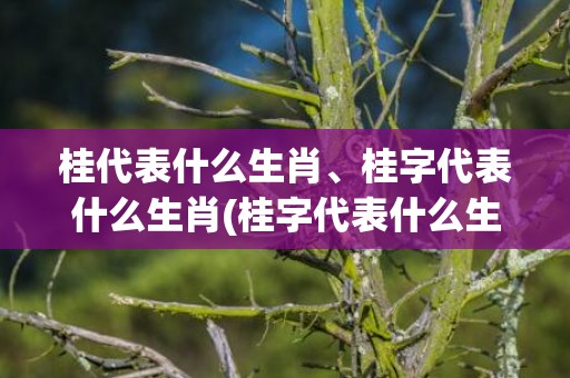 桂代表什么生肖、桂字代表什么生肖(桂字代表什么生肖动物)